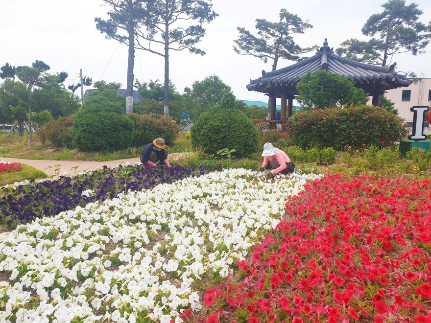1. 보성군, 상반기 직접 일자리 사업 참여자 모집_보성군은 오는 1월 30일까지 상반기 직접 일자리사업 참여자를 모집한다고 밝혔다.jpg