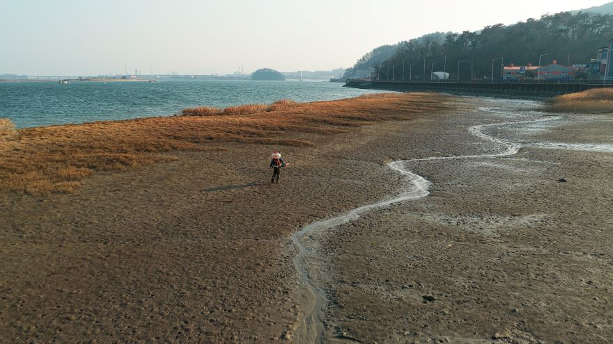 3 광양시 기후위기 대응 블루카본 숲 조성 본격 추진(파종사진) - 자원순환과.jpg