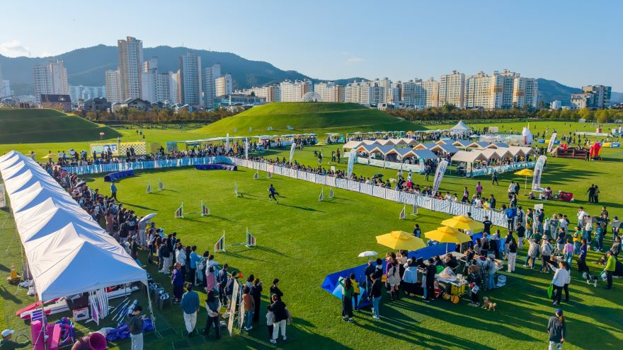 3 지난해 10월 오천그린광장에서 열린 ‘2025년 반려동물 문화한마당 행사’.jpg