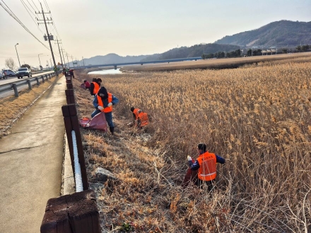 보성군 벌교읍, 설맞이 환경정화 활동 실시