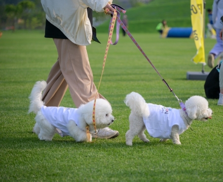 순천시, 동물등록비용·길고양이 중성화 지원… “동물복지 도시 구현”