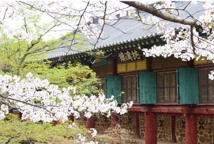 순천시 53번째 보물 탄생, 송광사 침계루 보물 지정