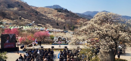 제25회 광양매화축제, 화려한 개막으로 열흘간 일정 돌입